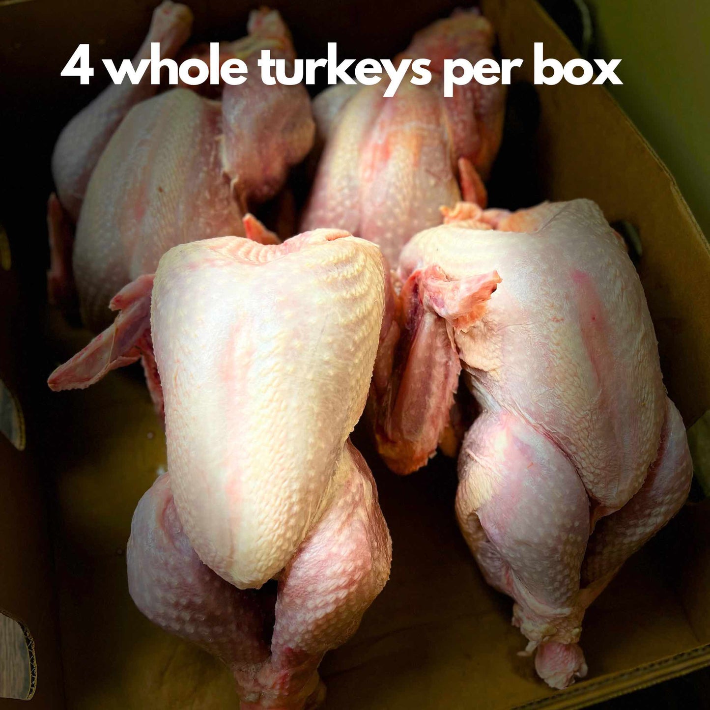 Wholesale Halal Turkey Whole - 1