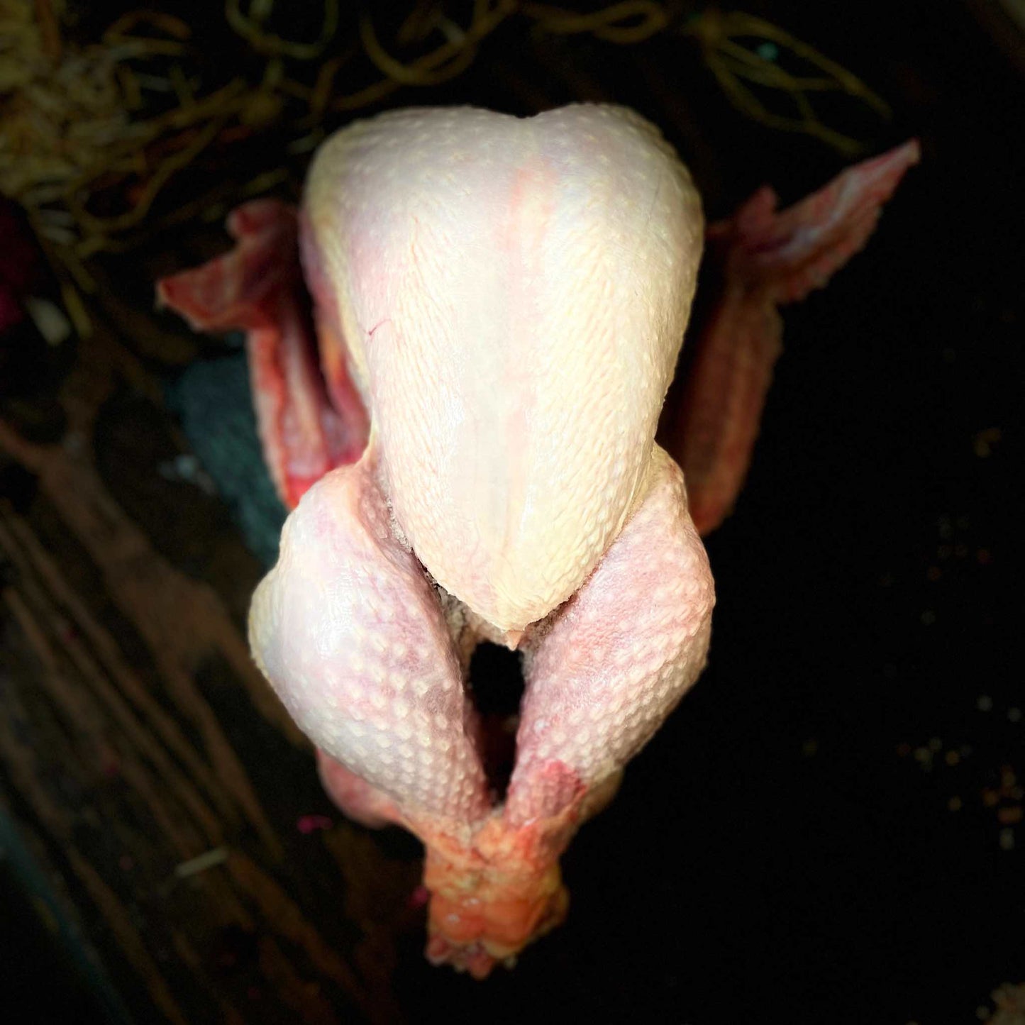 Wholesale Halal Turkey Whole - 3