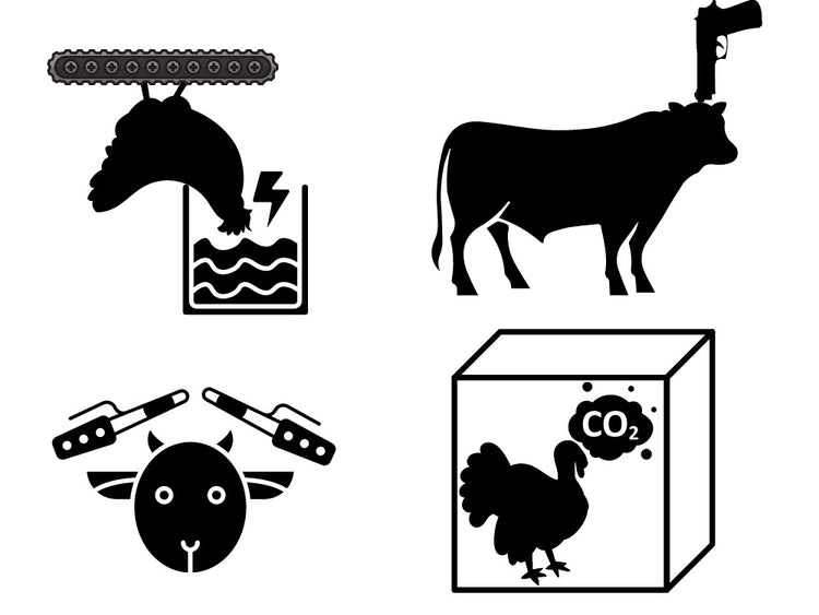 Our Stance on Stunning in Meat Processing – Halal Foundry