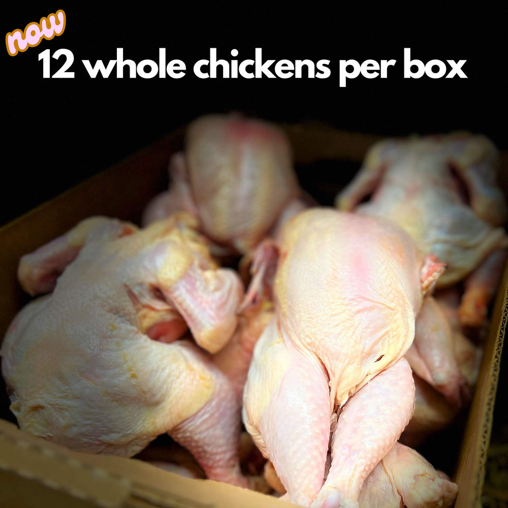 Wholesale Halal Chicken Whole Box - 1