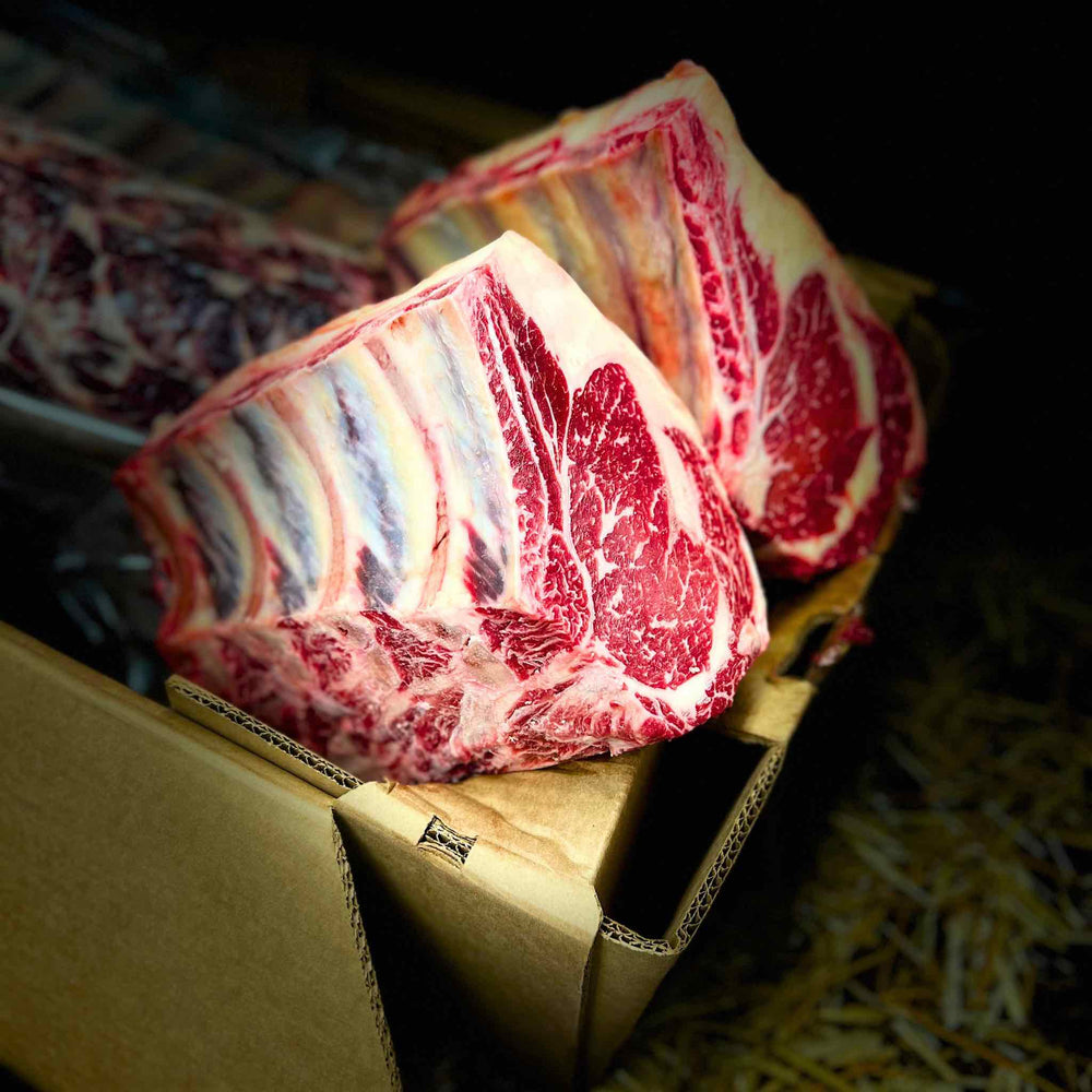 Wholesale Wagyu Beef Bone-In Ribeye Primal - 1