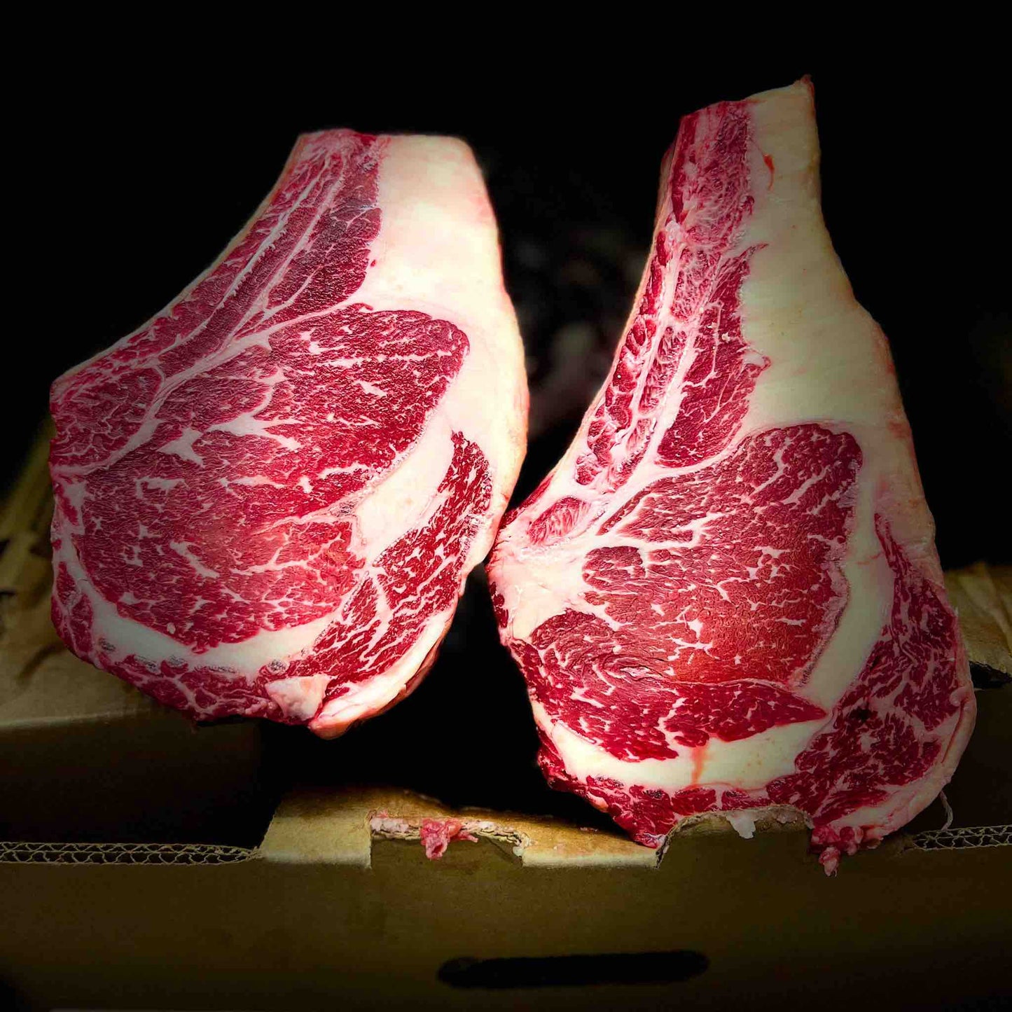 
                  
                    Wholesale Wagyu Beef Bone-In Ribeye Primal - 2
                  
                