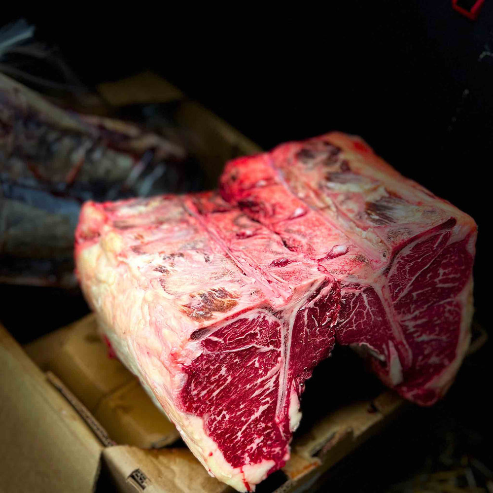 
                  
                    Wholesale Wagyu Beef Short Loin Primal - 3
                  
                